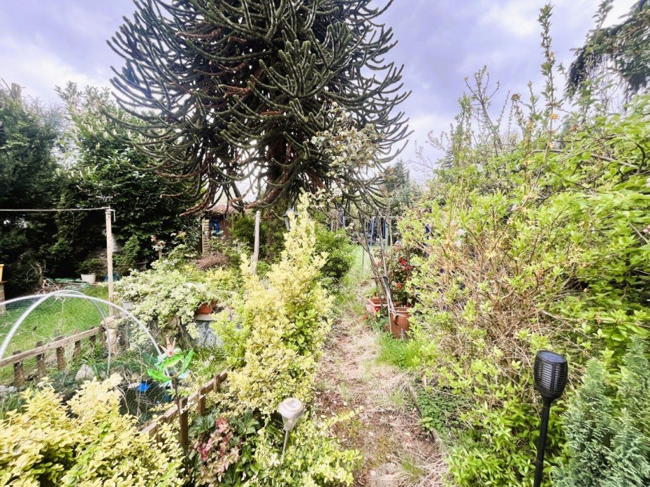 Garten Zweifamilienhaus Oberhausen